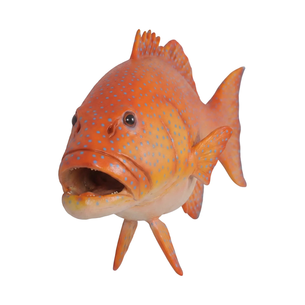 Coral Trout (Not in AUS/USA/Canada)