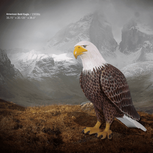 American Bald Eagle Animal Sculpture