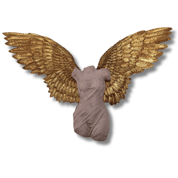 Azaz Angel Wings Wall Decor