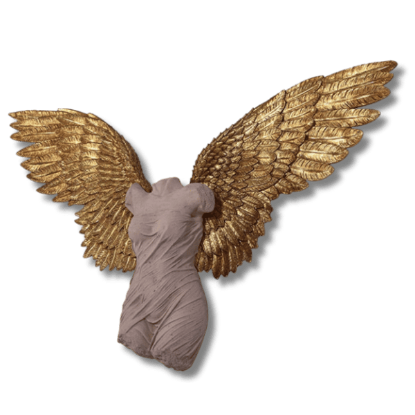 Azaz Angel Wings Wall Decor