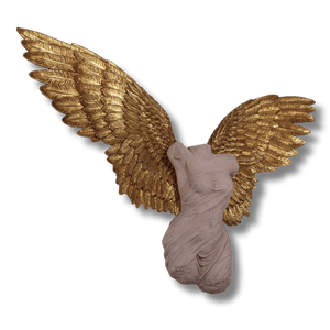 Azaz Angel Wings Wall Decor