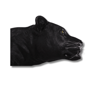 Black Panther Head Wall Decor