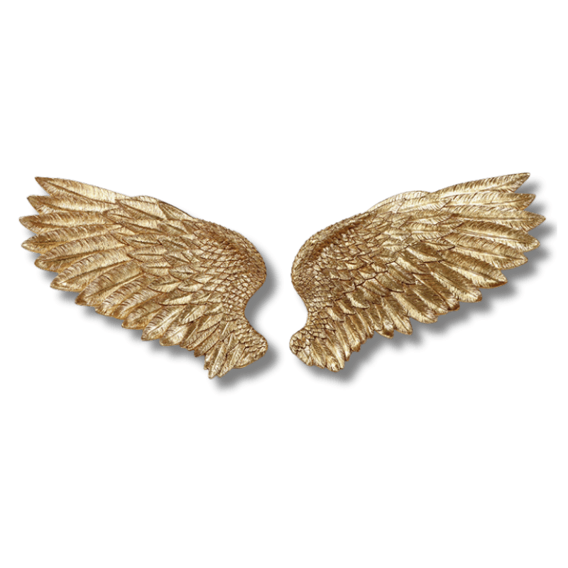 Cupid's Wings Wall Decor
