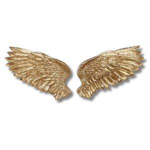 Cupid's Wings Wall Decor