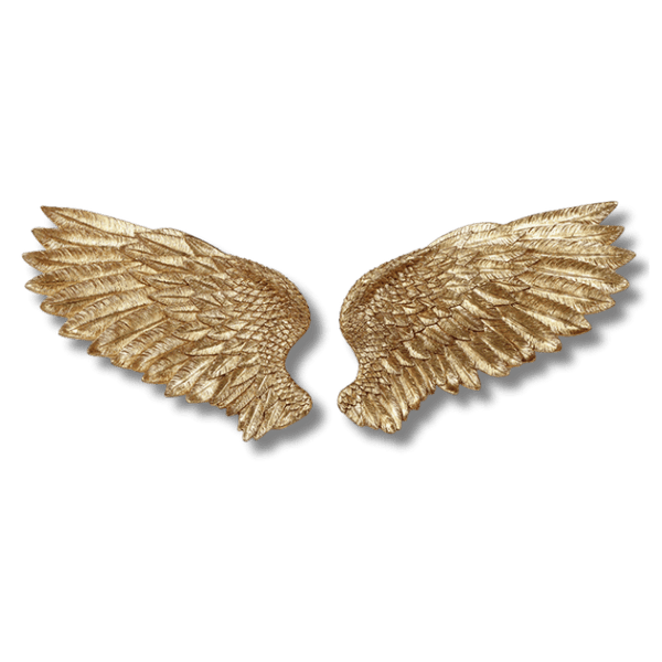 Cupid's Wings Wall Decor