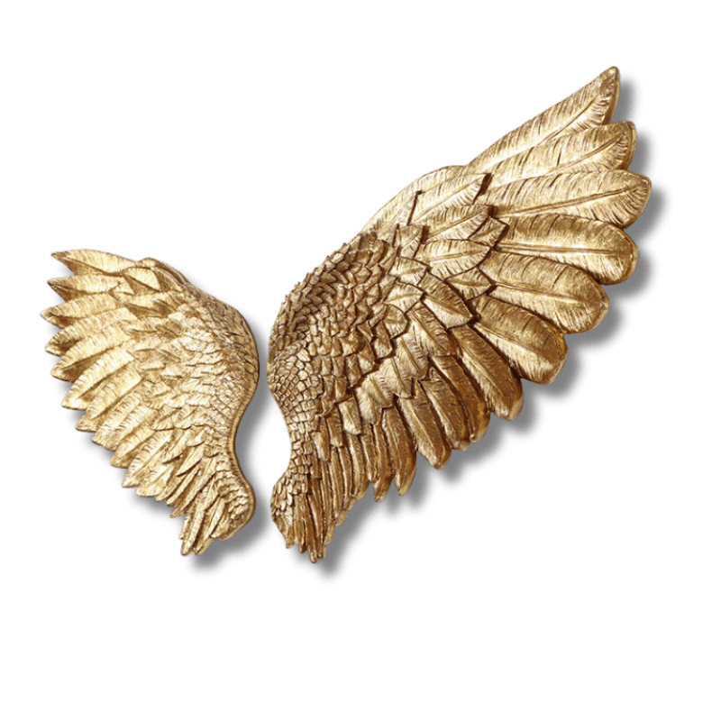 Cupid's Wings Wall Decor