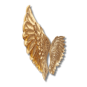Cupid's Wings Wall Decor