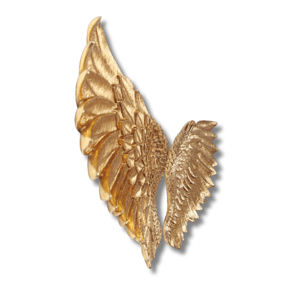 Cupid's Wings Wall Decor