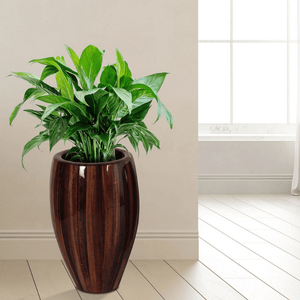 Elonga Planter 47x120cm