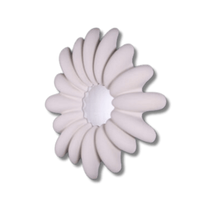 Giant Clam Mirror