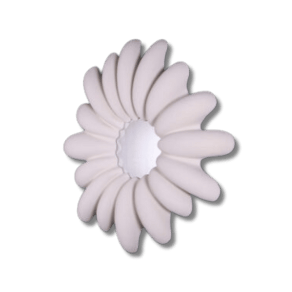 Giant Clam Mirror