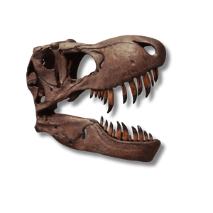 Giant T-rex Skull - Wall Decor
