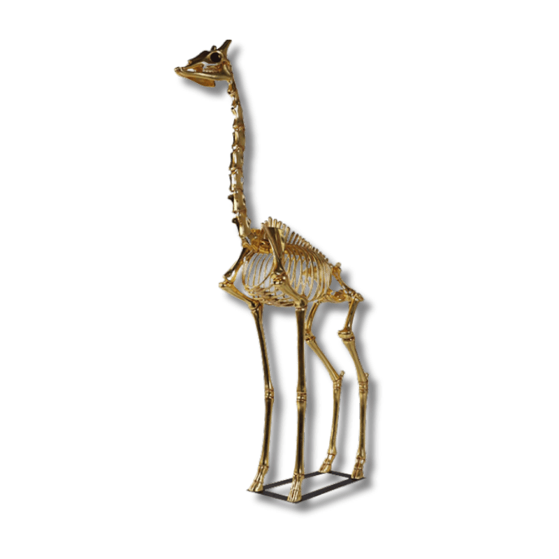 Giraffe Skeleton 8ft Animal Sculpture