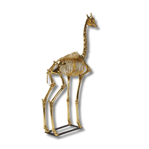 Giraffe Skeleton 8ft Animal Sculpture