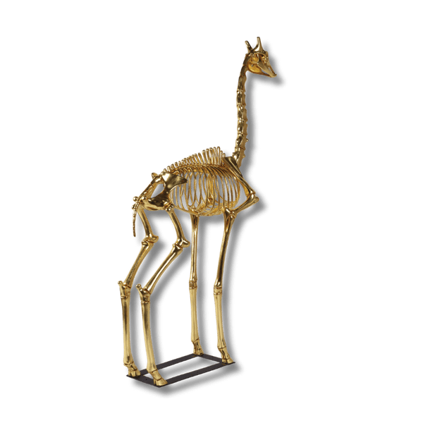 Giraffe Skeleton 8ft Animal Sculpture