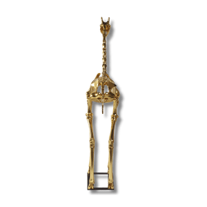 Giraffe Skeleton 8ft Animal Sculpture