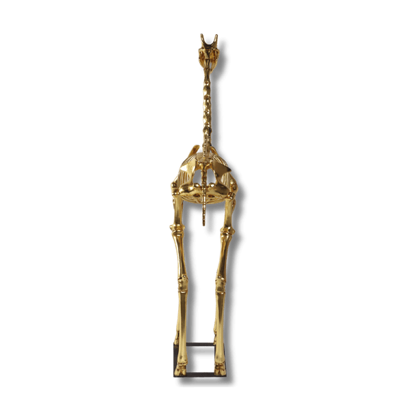 Giraffe Skeleton 8ft Animal Sculpture