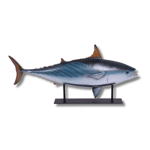Mackerel Tuna on Metal Stand Sculpture