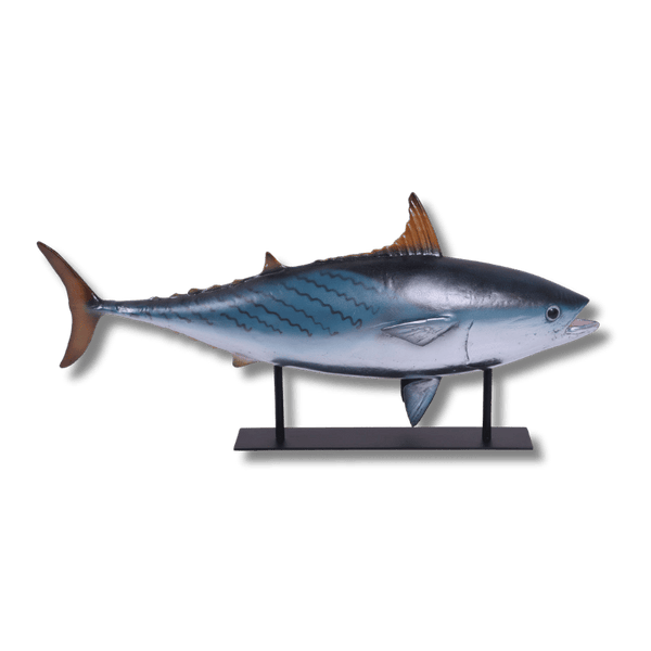 Mackerel Tuna on Metal Stand Sculpture