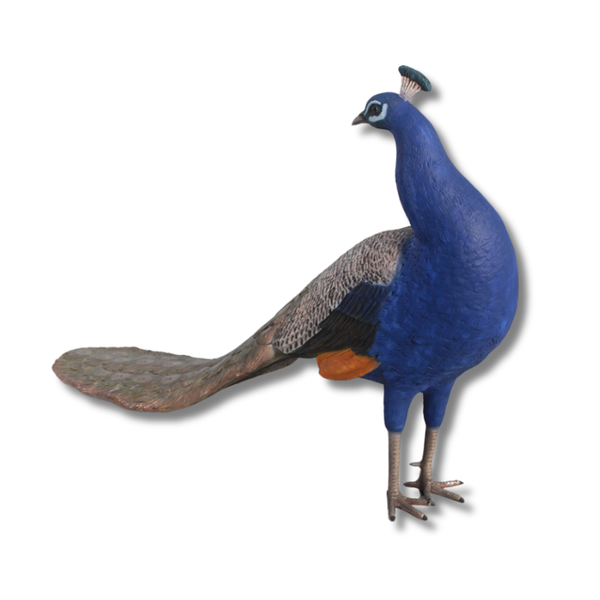Peacock Animal Sculpture