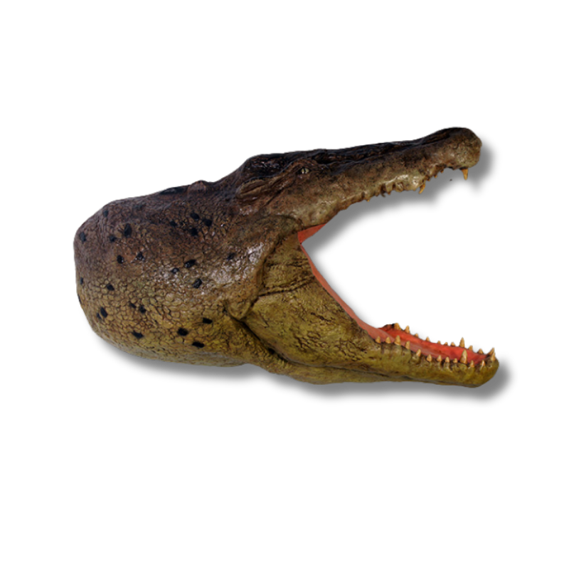 Crocodile Head Wall Plaque