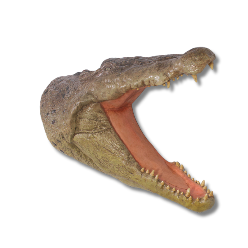 Crocodile Head Wall Plaque
