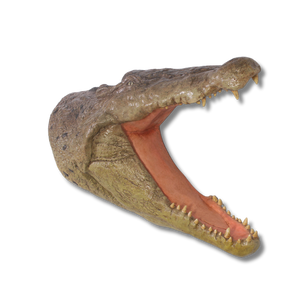 Crocodile Head Wall Plaque