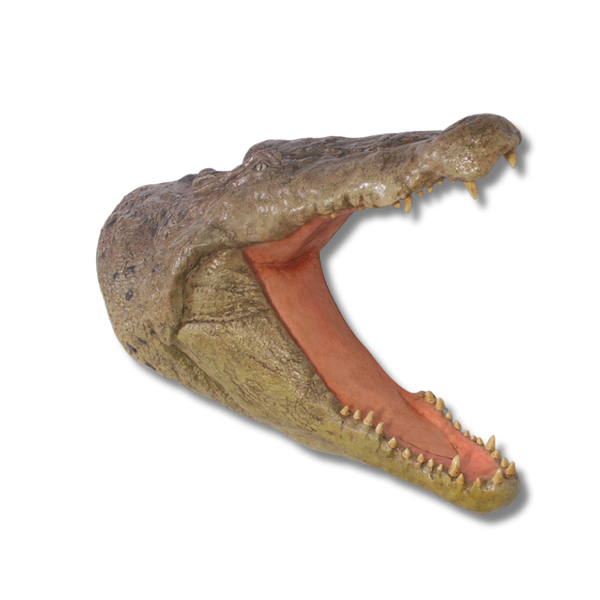 Crocodile Head Wall Plaque