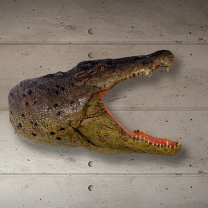 Crocodile Head Wall Plaque