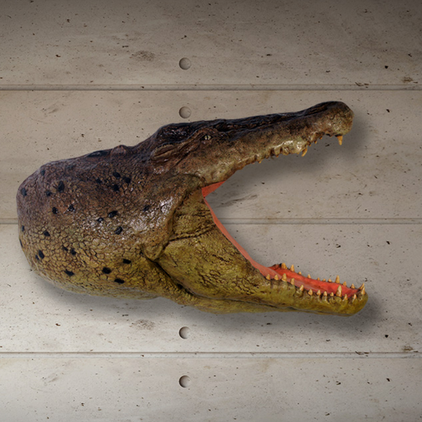 Crocodile Head Wall Plaque