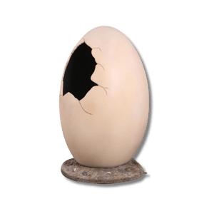 Peekaboo Egg - Photo Op