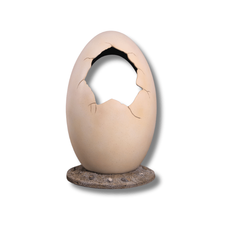 Peekaboo Egg - Photo Op