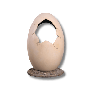 Peekaboo Egg - Photo Op