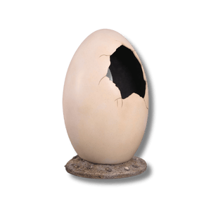 Peekaboo Egg - Photo Op