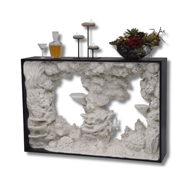 Reef Console