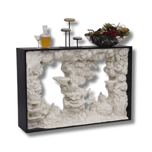 Reef Console