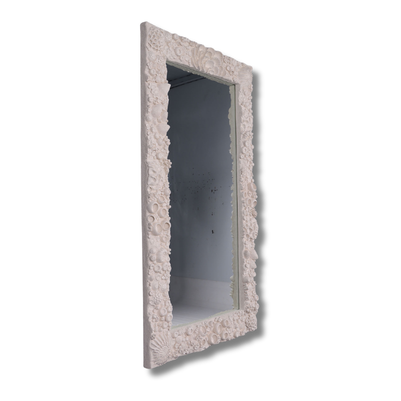 Reef Mirror