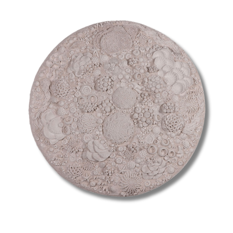 Reef Round - Wall Art