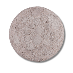 Reef Round - Wall Art
