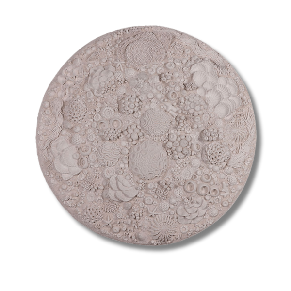 Reef Round - Wall Art
