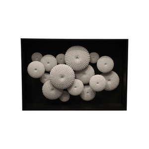 Sea Urchin Console