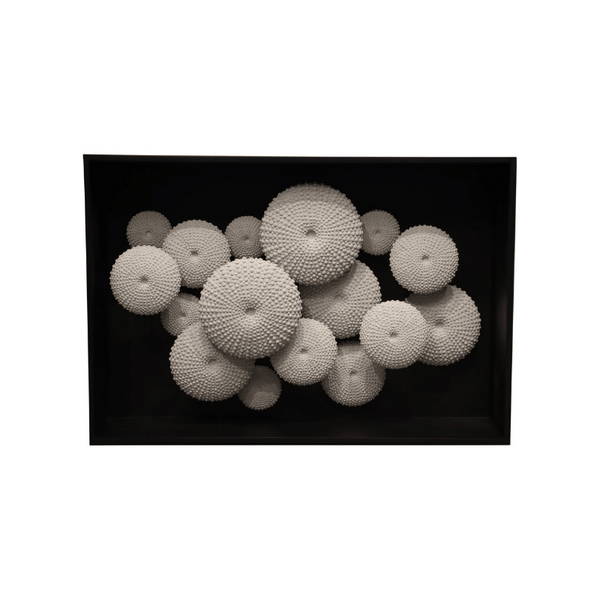 Sea Urchin Console