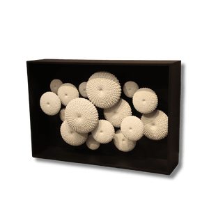 Sea Urchin Console