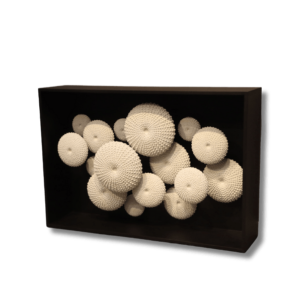 Sea Urchin Console
