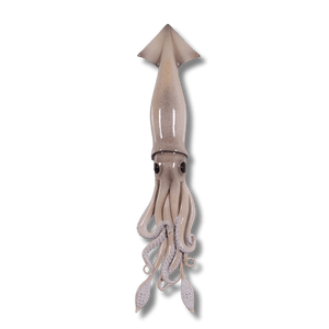 Squid Wall Decor
