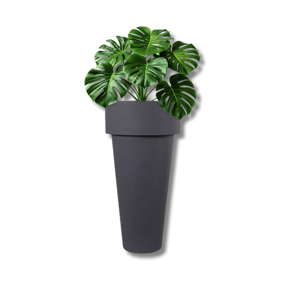 Verdi Cone Planter