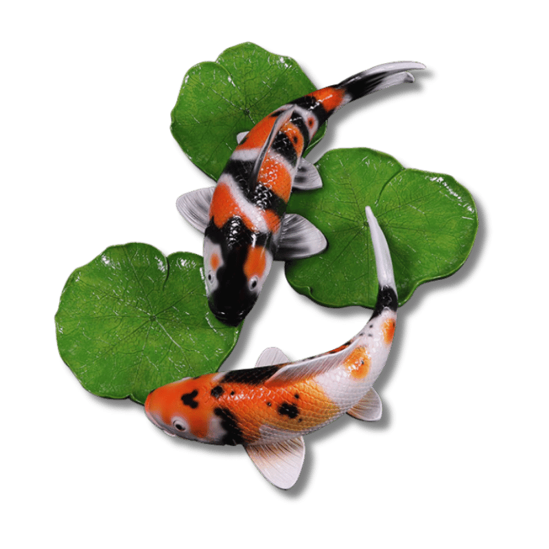 Yin Yang Koi Wall Art Collage