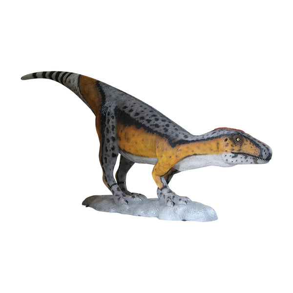 Adult Theropod (Not In Aus)