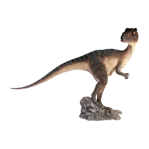 Allosaurus
