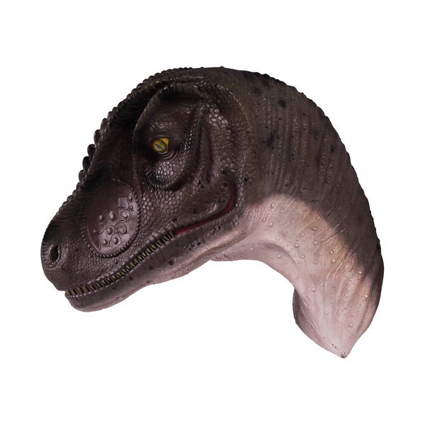 Allosaurus Head